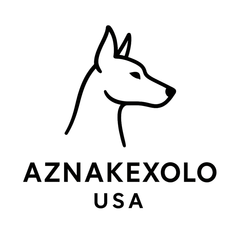 aznakexolo.com